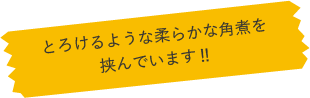 長崎角煮まんじゅう_メモ
